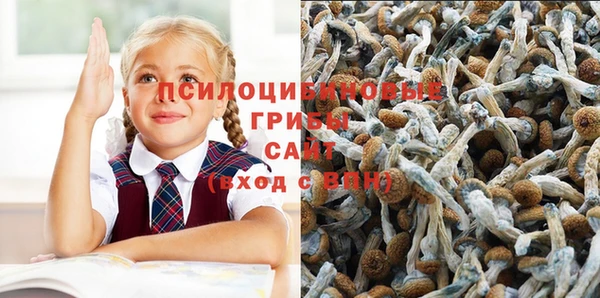 ешки Бугульма